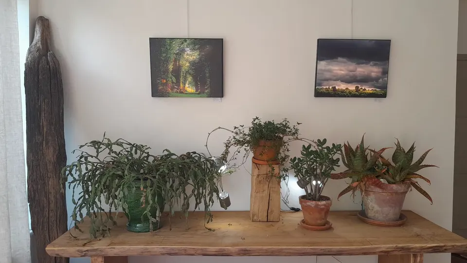 Projets réalisés 3