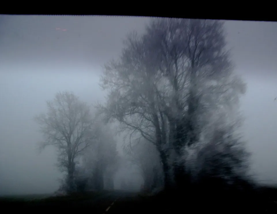 brume 2
