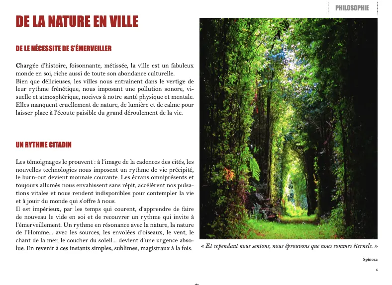 Galerie 7