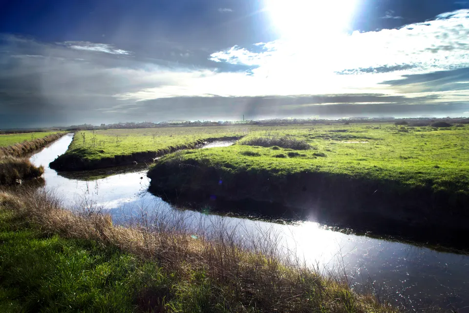 Paysages 39
