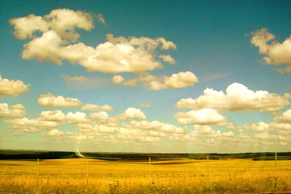 Copie de paysage train