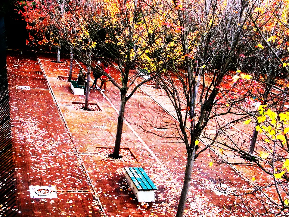 automne paris 2