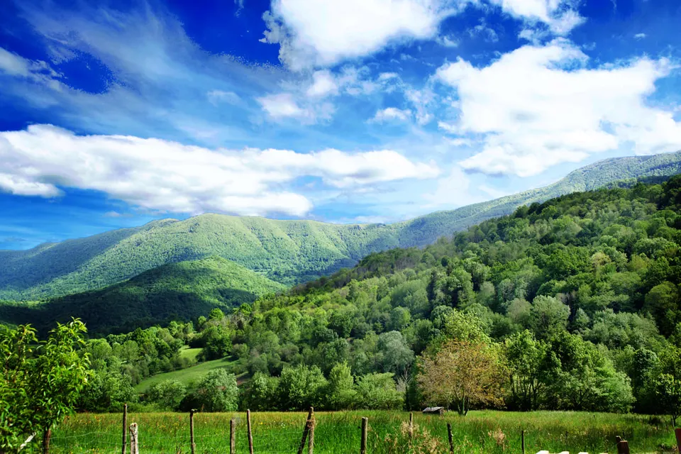 verdoyant pyrénnées