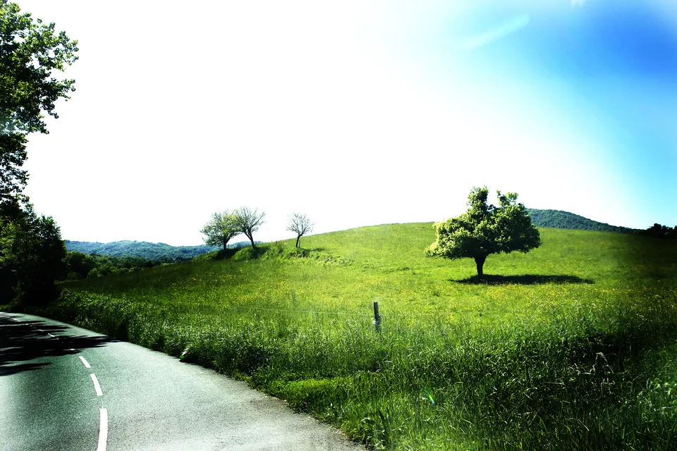 arbre 15cm