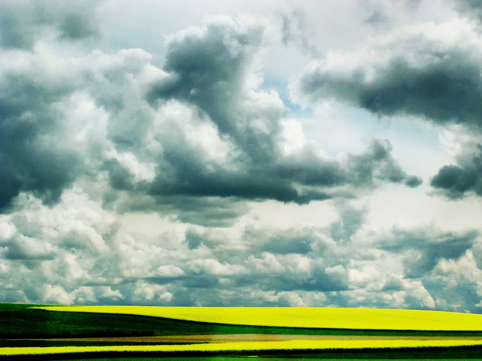 graphic landscape ok