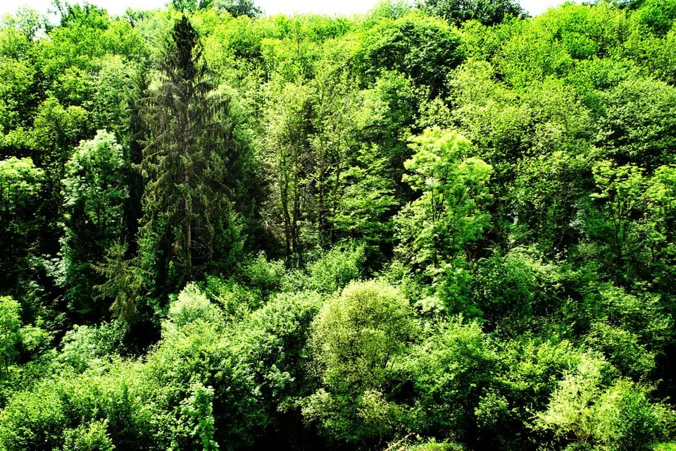 Paysages 46