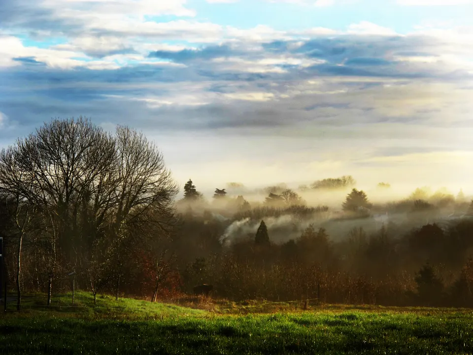 Melle brume 10