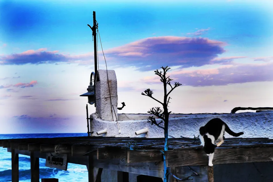 Paysages 12